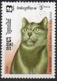 Камбоджа Камбоджа ^/--/^ Кампучія  (Камбоджа) 1988 - Кішки  (Г) ^_^^^ Кампучия (Камбоджа) 1988 - Кошки (Г) - фото фото фото