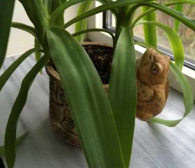 Статуетки, Скульптури, Фігурки, Фарфор Статуэтки, Скульптуры, Фигурки, Фарфор ^/--/^ ЛЯГУШКА КЕРАМИЧЕСКАЯ ФИГУРКА НА ЦВЕТОЧНЫЙ ГОРШОК ^_^^^ Жаба керамічна фігурка на квітковий горщик - фото фото фото