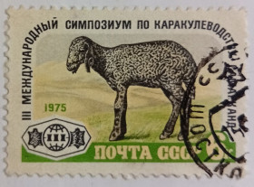 СРСР - СССР - ^/--/^ СССР 1975 Международный симпозиум по каракулеводству, гашеная (I) ^_^^^ СРСР 1975 Міжнародний симпозіум з каракулівництва, гашена (I) - фото фото фото