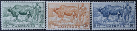 Інше Другое ^/--/^ Французские колонии Камерун Фауна Коровы Зебу 1946 ^_^^^ Французькі колонії Камерун Фауна Корови Зебу 1946 - фото фото фото