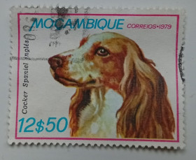 Мозамбік Мозамбик ^/--/^ Мозамбик 1979 Собаки, 12,50 /--/ Е, гашеная (I) ^_^^^ Мозамбік 1979 Собаки, 12,50 /--/ Е, гашена (I) - фото фото фото