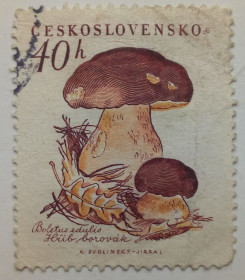 Чехословаччина Чехословакия ^/--/^ Чехословакия 1958 Грибы, боровик, гашеная ^_^^^ Чехословаччина 1958 Гриби, боровик, гашена - фото фото фото