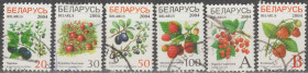 Білорусь Беларусь ^/--/^ Беларусь Білорусь 2004 флора садовые ягоды ^_^^^ Беларусь 2004 флора садовые ягоды - фото фото фото