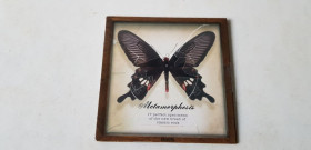 Музичні диски Музыкальные диски ^/--/^ Magic Trash/Under The Sun/White Dynomite... CD фірмовий ^_^^^ Magic Trash/Under The Sun/White Dynomite CD фирменный - фото фото фото