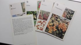 СРСР СССР ^/--/^ Открытки Овощи, фрукты, ягоды. Набор 18 /--/ шт.СССР 1986 /--/ г. ^_^^^ листівки Овочі, фрукти, ягоди. Набір 18 /--/ шт.СРСР 1986 /--/ р. - фото фото фото