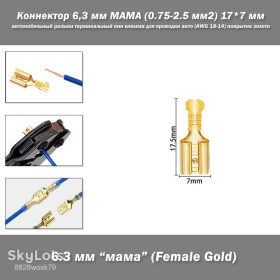 Порти, роз'єми Порты, разъемы ^/--/^ Коннектор 6,3 мм МАМА  (0.75-2.5 мм /--/ 2) 17*7 мм автомобильный разъем терминальный пин клемма для проводки авто  (AWG 18-14) покрытие золото ^_^^^ Коннектор 6,3 мм МАМА (0.75-2.5 мм /--/ 2) 17*7 мм автомобільний роз'єм термінальний пін клема для проведення авто (AWG 18-14) покриття золото - фото фото фото