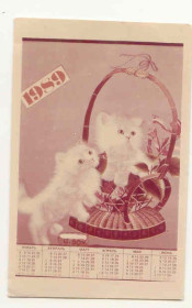 Календарі Календари ^/--/^ СССР 1989 Календарик Флора фауна  Кот Кошка Котович ^_^^^ СРСР 1989 Календарик Флора фауна Кот Кошка Котович - фото фото фото