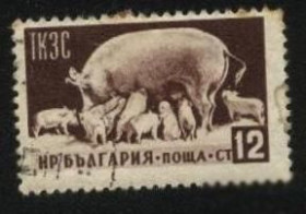 Балканський півострів Балканский полуостров ^/--/^ Болгария 1955 г № 928 гашеная ^_^^^ Болгарія 1955 р. No 928 гашена - фото фото фото
