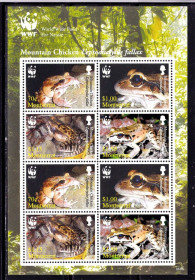 Фауна Фауна ^/--/^ NM Фауна . Монтсеррат / Монсеррат / Montserrat  2006 г MNH - WWF - лягушки ^_^^^ NM Фауна . Монтсеррат / Монсеррат / Montserrat 2006 р MNH - WWF - жаби - фото фото фото