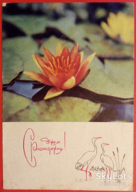 СРСР СССР ^/--/^ СССР 1969 флора цветы ХМПК Зак. 13078 подписанная ^_^^^ СРСР 1969 флора квіти ХМПК Зак. 13078 підписана - фото фото фото