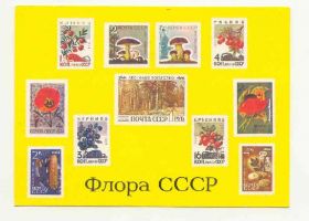 СРСР - СССР - ^/--/^ СССР 1975 Сувенирный листок -открытка Флора ^_^^^ СРСР 1975 Сувенірний листок - відкриття Флора - фото фото фото