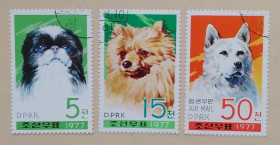 Фауна Фауна ^/--/^ Северная Корея /--/ 1977 г - собаки ^_^^^ Північна Корея 1977 — собаки - фото фото фото
