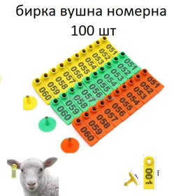 Інші товари для тварин Другие товары для животных ^/--/^ Вушні пластикові номерні бирки для худоби 100 шт.Бирки для худоби.Бирки для бирковача. Вушні бирки д ^_^^^ Ушные пластиковые номерные бирки для скота 100 шт. Бирки для скота. Бирки для бирковщика. Ушные бирки д - фото фото фото