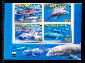 Фауна Фауна ^/--/^ Фауна . Мальдивы  **    WWF -  дельфины ^_^^^ Мальдіви ** WWF - дельфіни - фото фото фото