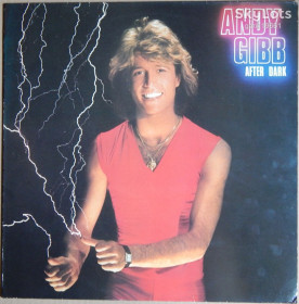 Платівки Пластинки ^/--/^ Andy Gibb – After Dark  (RSO – 2394 247, Scandinavia) inner sleeve EX+/NM- ^_^^^ Andy Gibb – After Dark (RSO – 2394 247, Scandinavia) inner sleeve EX+/NM- - фото фото фото
