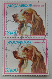 Мозамбік Мозамбик ^/--/^ Мозамбик 1979 Собаки, 12,50 /--/ Е, сцепка, гашеная ^_^^^ Мозамбік 1979 Собаки, 12,50 /--/ Е, зчіпка, гашена - фото фото фото