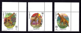 Фауна Фауна ^/--/^ Фауна .  Сомали 2000 г  MNH  - жираф ^_^^^ Сомалі 2000 г MNH - жираф - фото фото фото
