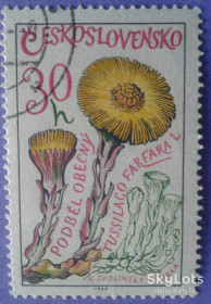 Флора Флора ^/--/^ Чехословакия 1965 флора цветы Mi 1583 ^_^^^ Чехословаччина 1965 флора квіти Mi 1583 - фото фото фото