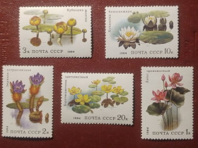 СРСР - СССР - ^/--/^ СССР, водные растения ^_^^^ СРСР, водні рослини - фото фото фото
