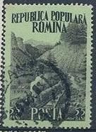 Інше Другое ^/--/^ Румыния ЖД транспорт 1956 ^_^^^ Румунія ЖД транспорт 1956 - фото фото фото