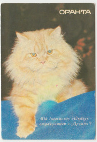 Календарі Календари ^/--/^ Календарик карманный Оранта 1993 ^_^^^ Календарик кишеньковий Оранта 1993 - фото фото фото