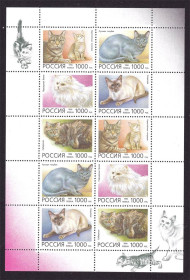 Фауна Фауна ^/--/^ Фауна . Россия  1996  г  MNH - к/б - кошки ^_^^^ Росія 1996 р MNH - к/б - кішки - фото фото фото