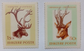 Угорщина Венгрия ^/--/^ Венгрия 1966 Охотничьи трофеи, 2 марки, MNH ^_^^^ Угорщина 1966 Мисливські трофеї, 2 марки, MNH - фото фото фото