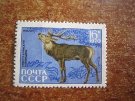 СРСР - СССР - ^/--/^ СССР. 1970. 19 АВГУСТА.  35 ЛЕТ СИХОТЕ- АЛИНСКОМУ ГОСУДАРСТВЕННОМУ  ЗАПОВЕДНИКУ  ** № 3839 ^_^^^ СРСР. 1970. 19 серпня. 35 років Сихоте-Алінському державному заповіднику ** No 3839 - фото фото фото