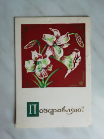 СРСР СССР ^/--/^ Поздравляю!  Пинская типогр. 1971 /--/ г. ^_^^^ Вітаємо! Пінська типогр. 1971. - фото фото фото