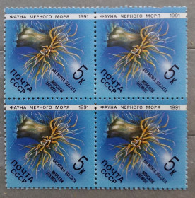 Фауна Фауна ^/--/^ СССР 1991 г - Фауна Черного моря. Морской анемон,  квартблок,НЕГАШ ^_^^^ СРСР 1991 — Фауна Чорного моря. Морський анемон, квартблок,НЕГАШ - фото фото фото
