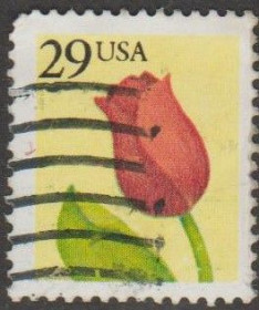 Північна Америка Северная Америка ^/--/^ США 1991 флора тюльпан ^_^^^ США флора тюльпан - фото фото фото