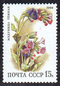 СРСР - СССР - ^/--/^ СРСР 1988 - Квіти широколистяних лісів ** ^_^^^ СССР 1988 — Цветы широколиственных лесов ** - фото фото фото