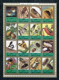 Фауна Фауна ^/--/^ Умм зль кувейн Umm al Qiwain КАРТОН insectes papillons IMPERF MNH - фото фото фото