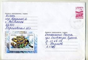 Україна Украина ^/--/^ совеременные марки Саламандра ХМК Украины прошел почту 2000 ^_^^^ досконалі марки Саламандра ХМК України пройшов пошту 2000 - фото фото фото