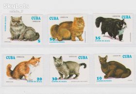 Фауна Фауна ^/--/^ NM Фауна  Куба 1994 г MNH - кшки ^_^^^ NM Фауна Куба 1994 MNH - кшки - фото фото фото