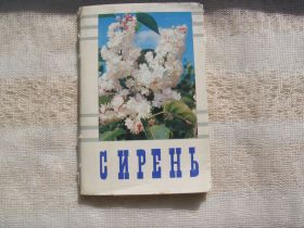 СРСР СССР ^/--/^ Открытки СИРЕНЬ комплект 15 шт 1973 г Цветы СССР ^_^^^ Листівки СІРЕНЬ комплект 15 шт 1973 Цвєти СРСР - фото фото фото