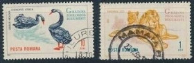 Інше Другое ^/--/^ Румыния Фауна Лев Птицы Лебедь 1964 ^_^^^ Румунія Фауна Лев Птахи Лебідь 1964 - фото фото фото