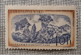Флора Флора ^/--/^ Чехословакия 1957 г - Татранский национальный парк.  Горечавка Клуза  (Gentiana clusii) ^_^^^ Чехословаччина 1957 — Татранський національний парк. Горечавка Клуза (Gentiana clusii) - фото фото фото