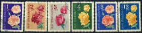 Флора Флора ^/--/^ Болгария. Цветы 1962 г. ^_^^^ Болгарія. Квіти 1962 - фото фото фото