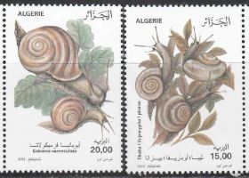 Алжир Алжир ^/--/^ Алжир 2012 ФАУНА ДИКИЕ ЖИВОТНЫЕ УЛИТКИ ПРОДУКТ КУЛИНАРИЯ ГАСТРОНОМИЯ МЕСТНАЯ КУХНЯ БЛЮДА 2 /--/ м** MNH ^_^^^ Алжир 2012 Фауна дикі тваринні равлітки продукт кулінарію гастрономія місцева кухня блюда 2 /--/ м** MNH - фото фото фото