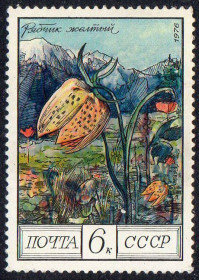 СРСР - СССР - ^/--/^ СРСР 1976 - Квіти гір Кавказу ** не UV-папір ^_^^^ СССР 1976 - Цветы гор Кавказа - не UV-бумага - фото фото фото