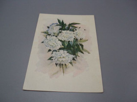 СРСР СССР ^/--/^ Открытка цветы пионы півонії 1955 год художник К. Полякова чистая №18708 /--/ ч ^_^^^ Открытка цветы пионы полуонии 1955 год художник К. Полякова чистая No /--/ 18708 /--/ ч - фото фото фото