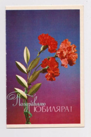 СРСР СССР ^/--/^ ПОЗДРАВЛЯЮ ЮБИЛЯРА  1974 г.  ЛИСЕЦКИЙ  двойная чистая  ^_^^^ Вітаю ЮБІЛЯРА 1974 р. Лисецька подвійна чиста - фото фото фото