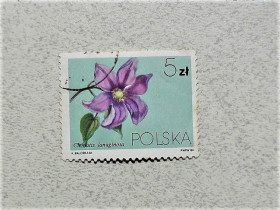 Польща Польша ^/--/^ Поштова марка Польща 1984 рік ^_^^^ Почтовая марка Польша &amp;quot; Флора &amp;quot; 1984 год - фото фото фото