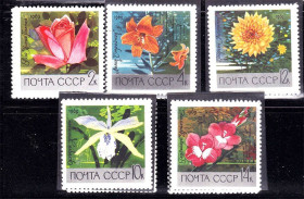 СРСР - СССР - ^/--/^ СССР 1969 г MNH - флора ^_^^^ СРСР 1969 MNH - флора - фото фото фото