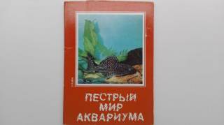 СРСР СССР ^/--/^ Открытки Пестрый мир аквариума. Набор из 24 /--/ шт. СССР 1984 /--/ г. ^_^^^ Пестрий світ акваріуму. Набір з 24 /--/ шт. СРСР 1984 /--/ р. - фото фото фото