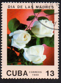 Острівні держави Островные государства ^/--/^ Куба 1988 - Квіти  (Г) ^_^^^ Куба 1988 - Цветы (Г) - фото фото фото