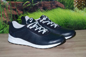 Кросівки Кроссовки ^/--/^ Кроссовки синие кожаные М /--/ 46 /--/ с качество NIKE размеры 35 36 37 38 39 40 41 ^_^^^ Кросівки сині шкіряні М /--/ 46 /--/ с якість NIKE розміри 35 36 37 38 39 40 41 - фото фото фото