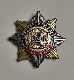 Службові та спеціальні Служебные и специальные ^/--/^ Знак &amp;quot;Сухопутні війська.Україна&amp;quot;.ЗСУ. ^_^^^ Знак &amp;quot; Сухопутные войска. Украина&amp;quot; ВСУ. - фото фото фото