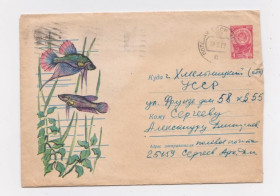 СРСР СССР ^/--/^ ПЕТУШКИ - РИБА = ХМК 1963 р = ИГНАТЬЕВ = п/п - ПОЛЕВАЯ ПОЧТА ^_^^^ ПЕТУШКИ - РЫБА = ХМК 1963 г = ИГНАТЬЕВ = п/п - ПОЛЕВАЯ НАЧТА - фото фото фото